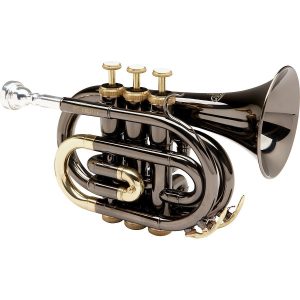 mini trumpet 