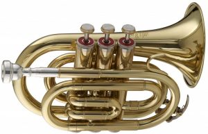 mini trumpet